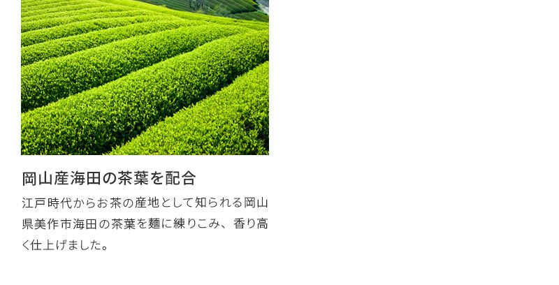 手延べそば抹茶そば8人前めんのみ・汁なし