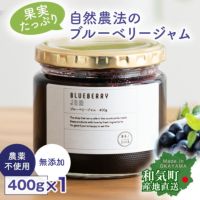 農薬を使わないブルーベリージャム