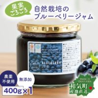 農薬を使わないブルーベリージャム