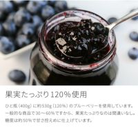 自然農法ブルーベリージャム400g農薬不使用除草剤不使用化学肥料不使用オーガニック有機栽培自然素材天然素材果実たっぷりジャム無添加砂糖不使用産地直送国産日本製岡山県産【39】