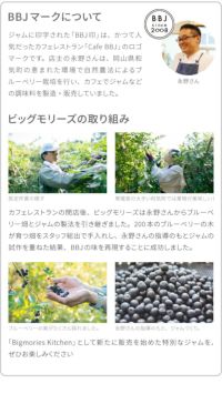 自然農法ブルーベリージャム400g農薬不使用除草剤不使用化学肥料不使用オーガニック有機栽培自然素材天然素材果実たっぷりジャム無添加砂糖不使用産地直送国産日本製岡山県産【39】