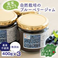 自然農法 ブルーベリージャム 400g x3個パック 農薬不使用 除草剤不