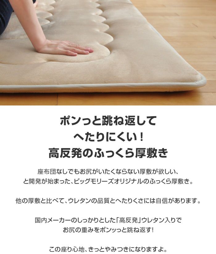 マイクロボア