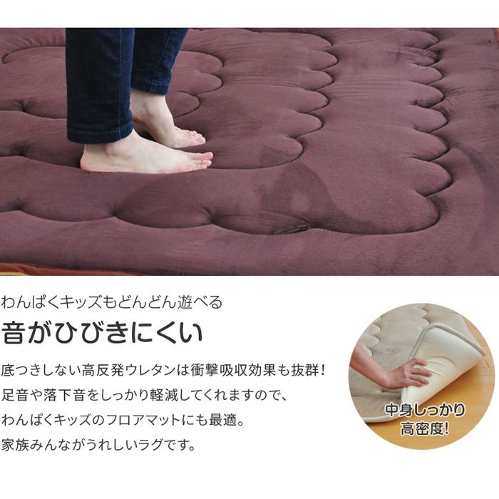 マイクロボア