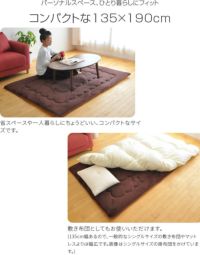マイクロボア
