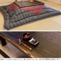 駿河TL