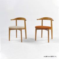 TEORIFDININGCHAIR