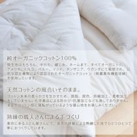 大人用掛ふとん薄タイプ【シングル】