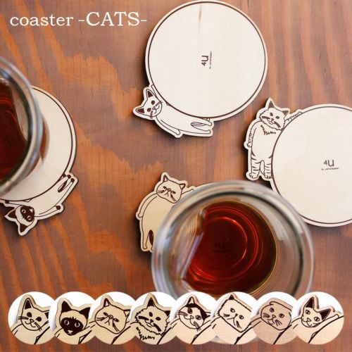 coaster-CATS-