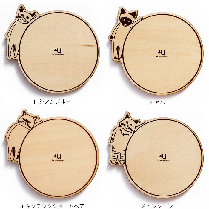 coaster-CATS-