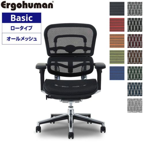 エルゴヒューマン　リクライニングチェアErgohuman 椅子写真のものがすべてです