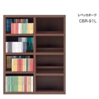 CBR-91L