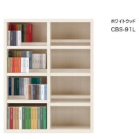 CBS-91L