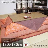 KS-02RE #30