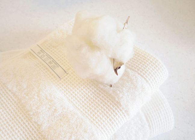 ワッフルボーダー