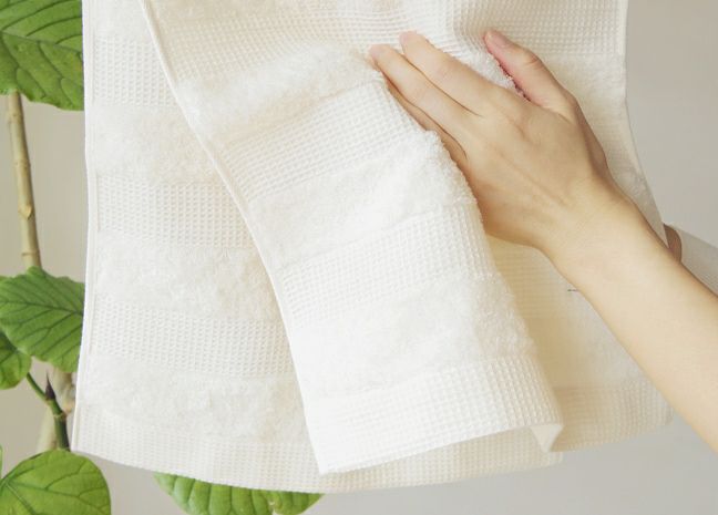 ワッフルボーダー