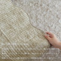 グレーダンデライオン