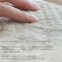 グレーダンデライオン